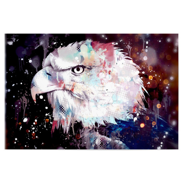 Poster "Pop Art Adler" artboxONE - Tiere - Wildtiere,Bunt,Vogel,Adler,Wild,Animal,Tier,Bird,Eagle,Closeup,Nahaufnahme,Portrait,Raubvogel,Natur