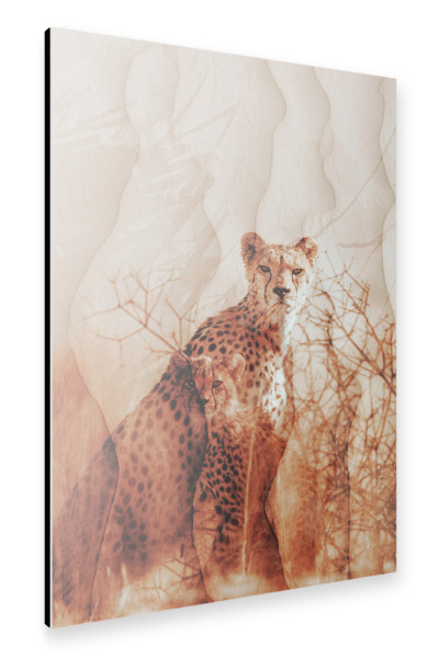 Alu-Dibond "Beautiful cheetah family" 30x20 cm artboxONE