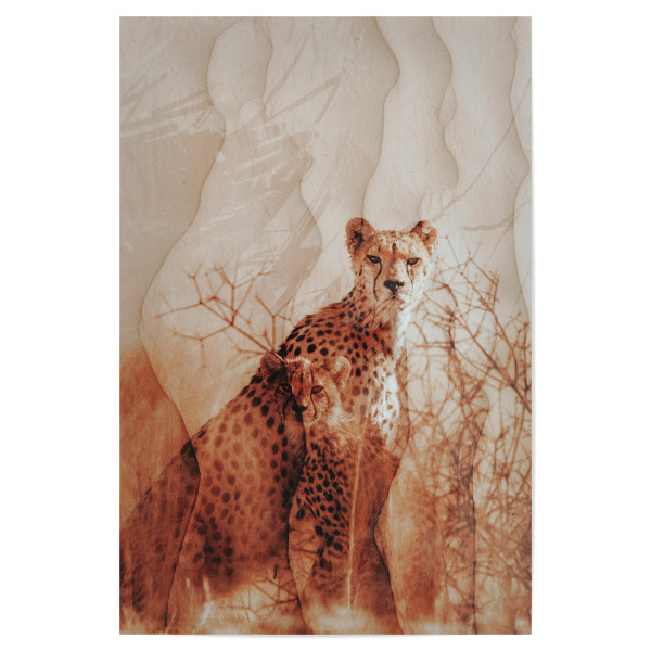 Poster 30x20 cm "Beautiful cheetah family" artboxONE - Natur,Tiere