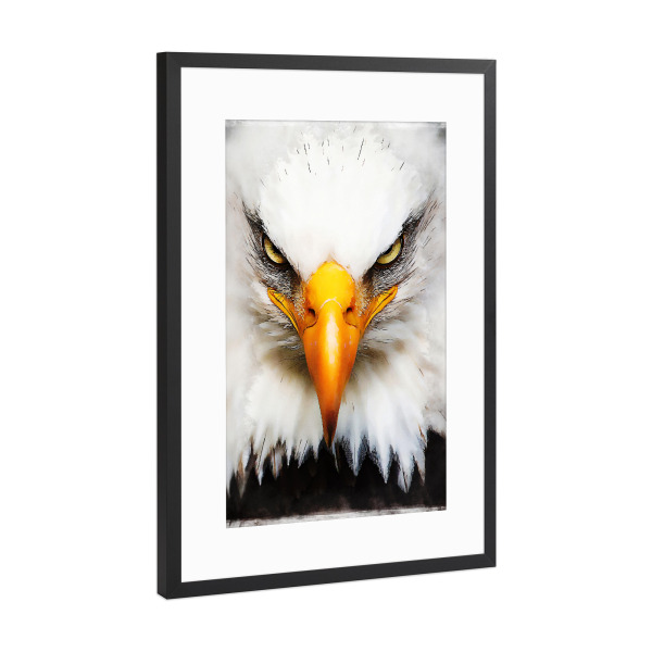 Poster mit Rahmen Schwarz (Metallic) "Eagle Portrait (matart)" artboxONE - Natur,Tiere