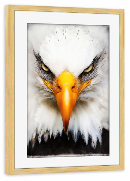 Poster mit Rahmen kiefer "Eagle Portrait (matart)" artboxONE - Natur,Tiere