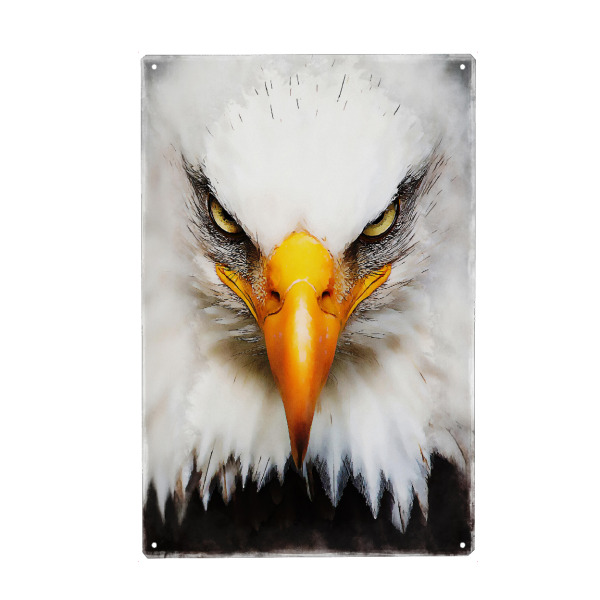 Holzbild "Eagle Portrait (matart)" artboxONE - Natur,Tiere - Eagle,Birds,Animal,Nature,Wild,Ardler,Vogel,Bird,Portrait,Nahaufnahme,Closeup