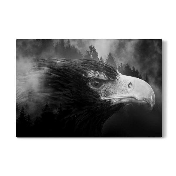 Galerie-Print "Eagle & Forest (matart)" 30x20 cm artboxONE