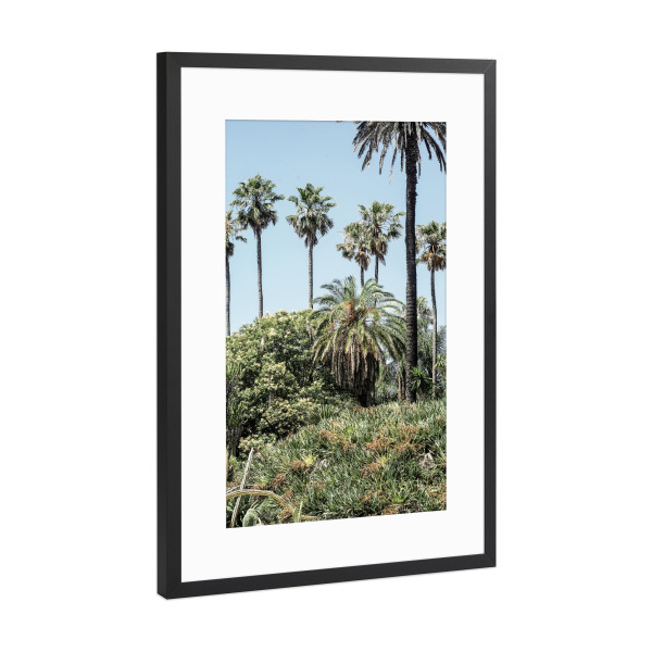 Poster mit Rahmen Schwarz (Metallic) "Collectors Garden" artboxONE - Natur,Floral