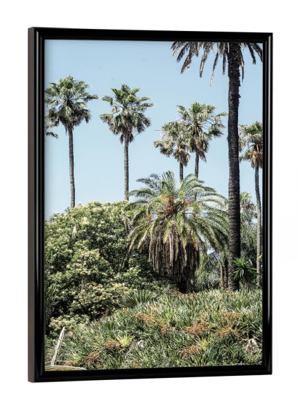 Poster mit schwarzem Rahmen "Collectors Garden" artboxONE - Natur,Floral