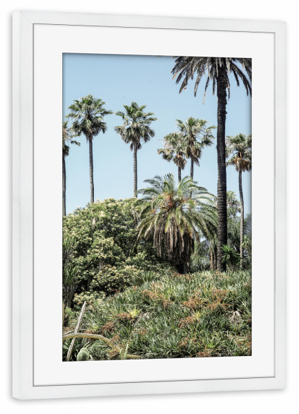 Poster mit Rahmen weiß "Collectors Garden" artboxONE - Natur,Floral