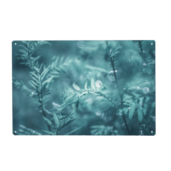 Metall Poster "Common Tansy" artboxONE - Natur,Floral - Floral,Rainfarn,Wurmkraut,Leaves,Natur,Nature,Nahaufnahme,Abstrakt,Blätter - Blechschild