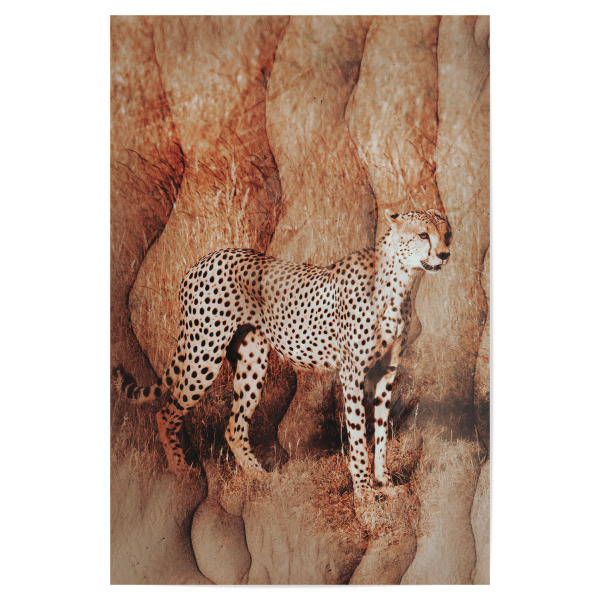 Poster "Young cheetah" artboxONE - Natur,Tiere,Abstrakt