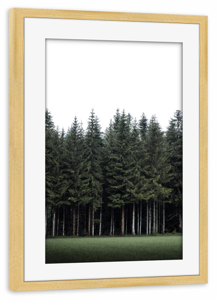 Poster mit Rahmen kiefer "Ruf des Waldes" artboxONE - Natur,Reise,Reise / Länder