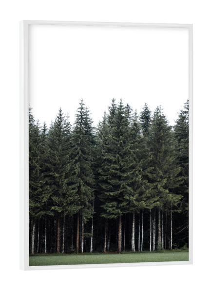 Poster mit weißem Rahmen "Ruf des Waldes" artboxONE - Natur,Reise,Reise / Länder