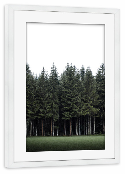 Poster mit Rahmen weiß "Ruf des Waldes" artboxONE - Natur,Reise,Reise / Länder