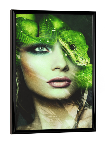 Poster mit schwarzem Rahmen "Green tree python" artboxONE - Natur,Tiere,Menschen
