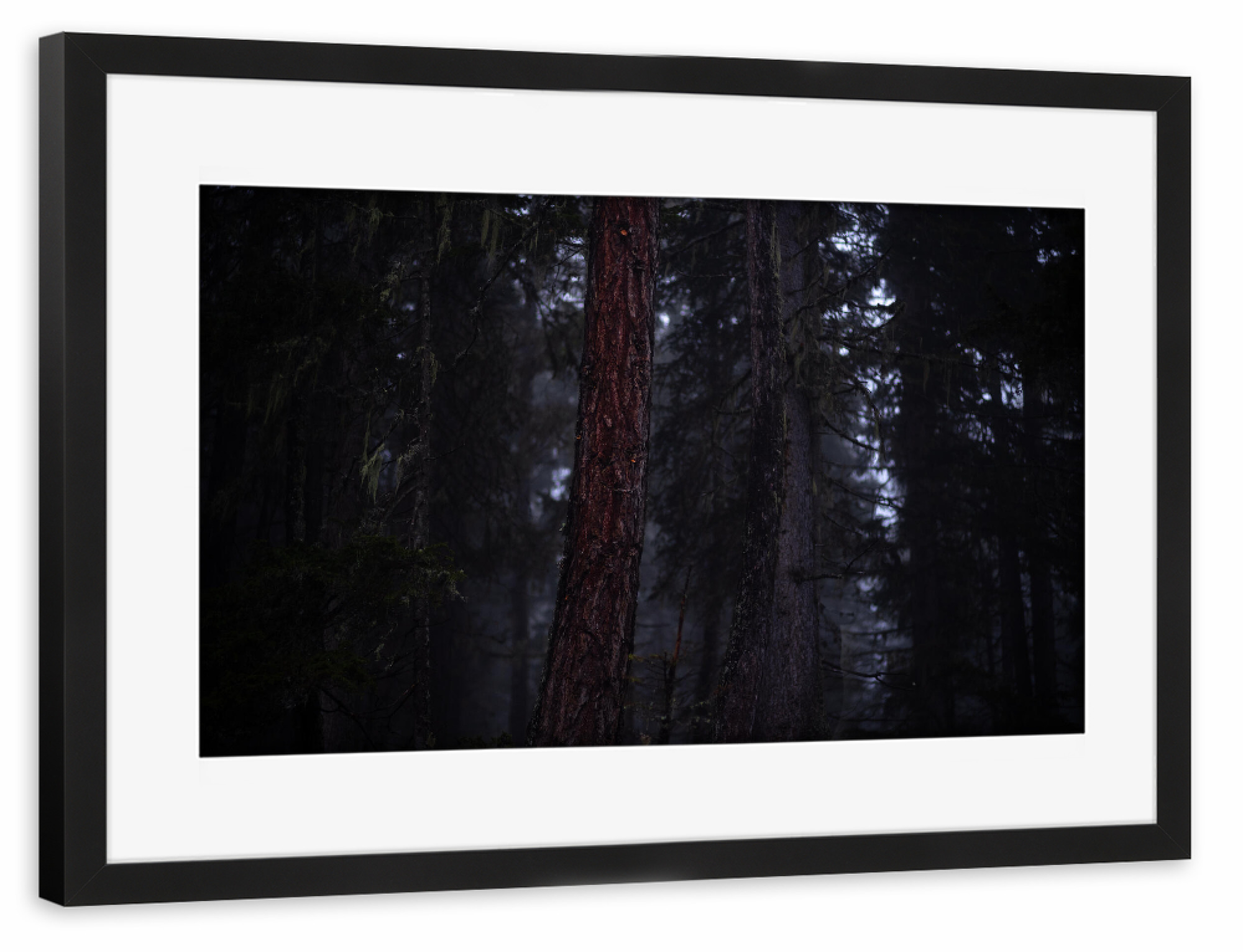 Poster mit Rahmen schwarz "Der rote Baum" artboxONE - Natur
