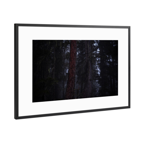 Poster mit Rahmen Schwarz (Metallic) "Der rote Baum" artboxONE - Natur