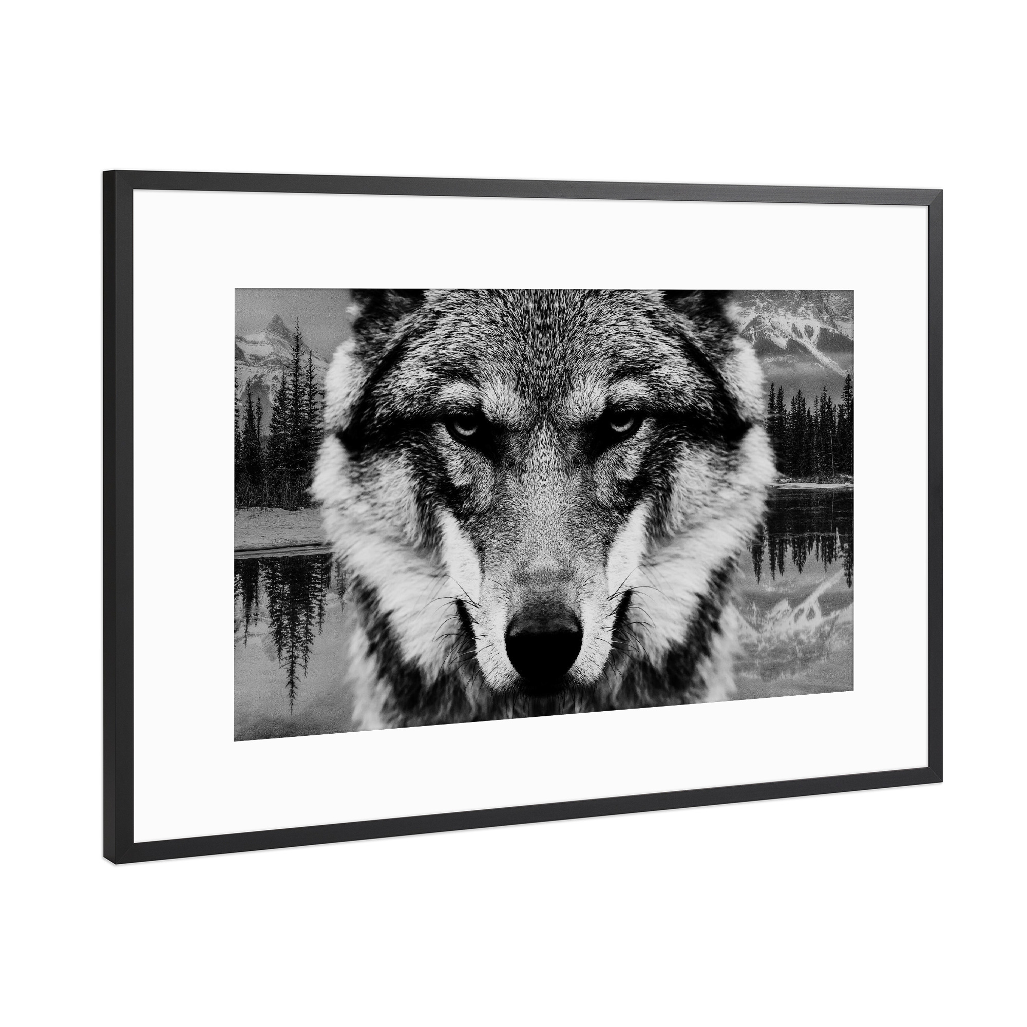 Poster mit Rahmen Schwarz (Metallic) "Wolf & Forest Closeup" artboxONE - Natur,Tiere
