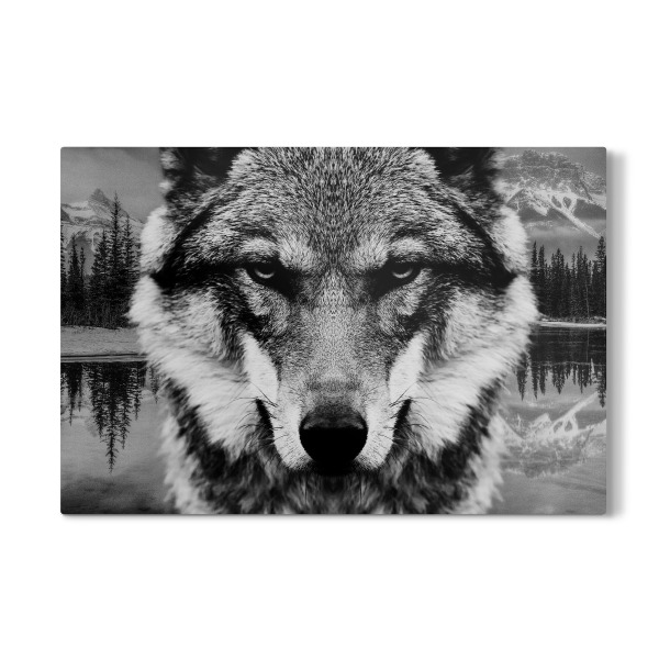 Galerie-Print "Wolf & Forest Closeup" 30x20 cm artboxONE