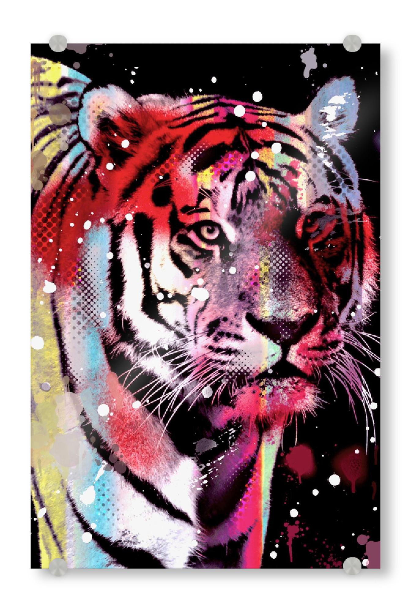 Acrylglasbild "Pop Art Tiger" artboxONE - Tiere