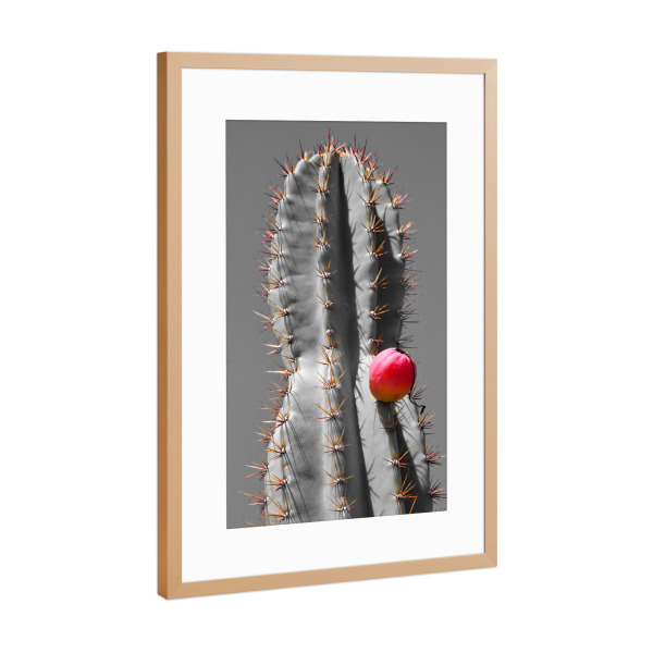 Poster mit Rahmen Kupfer "Kaktus roter Punkt" artboxONE - Natur,Floral,Abstrakt,Reise / Afrika