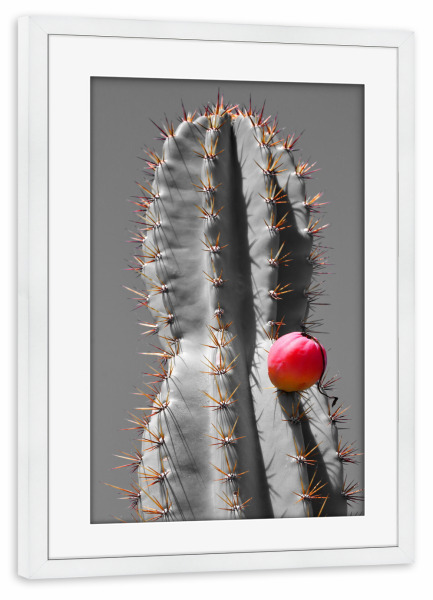 Poster mit Rahmen weiß "Kaktus roter Punkt" artboxONE - Natur,Floral,Abstrakt,Reise / Afrika