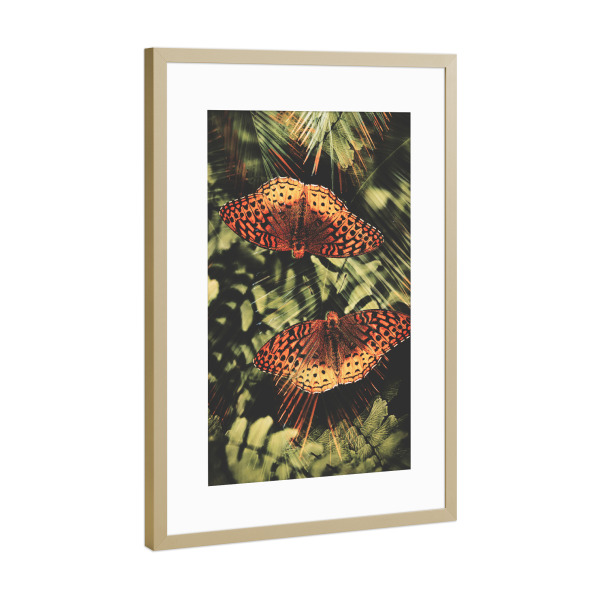 Poster mit Rahmen Gold "Butterflies in jungle" artboxONE - Natur,Floral,Tiere