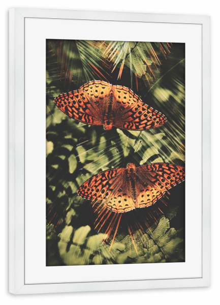Poster mit Rahmen weiß "Butterflies in jungle" artboxONE - Natur,Floral,Tiere