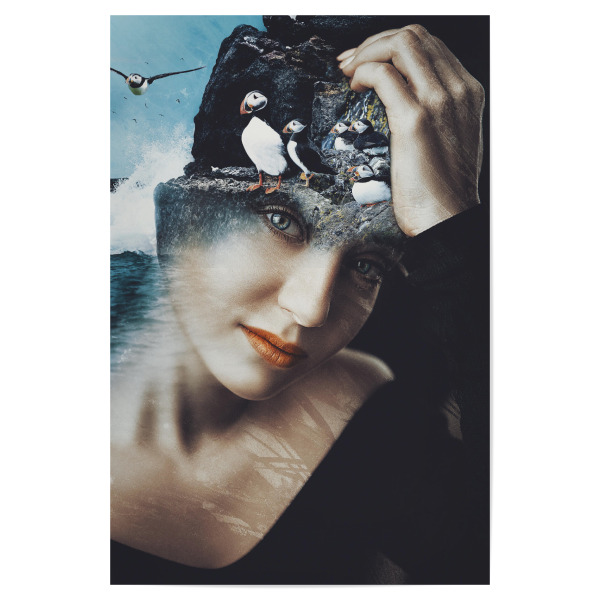 Poster 30x20 cm "Cute puffin by Tas" artboxONE - Natur,Tiere,Menschen