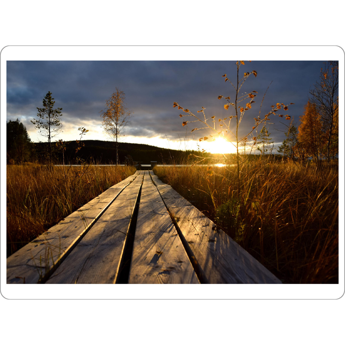 Tischset "Holzsteg" artboxONE - Natur,Reise,Reise / Länder