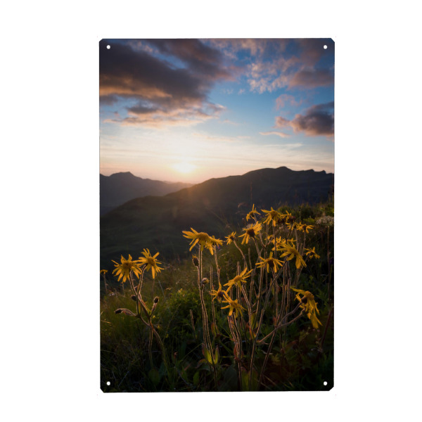 Holzbild "Arnika" artboxONE - Natur,Reise