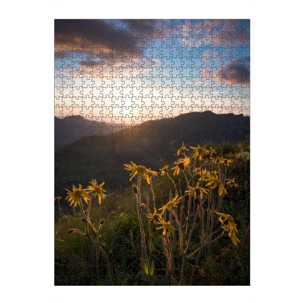 Puzzle Ravensburger "Arnika" artboxONE - Natur,Reise