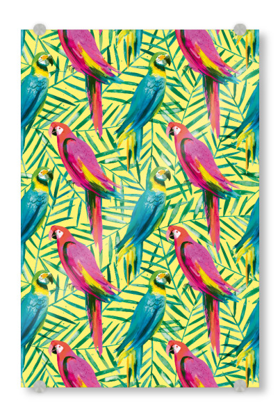 Acrylglasbild "Tropical Parrots Palms" artboxONE - Natur,Tiere,Reise / Strand und Meer,Fashion,Lustig