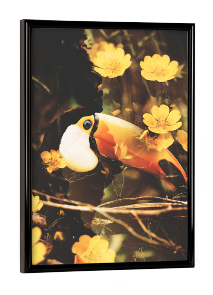 Poster mit schwarzem Rahmen "Floral toucan I" artboxONE - Natur,Floral,Tiere