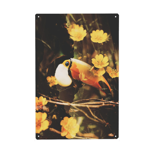 Metall Poster "Floral toucan I" artboxONE - Natur,Floral,Tiere