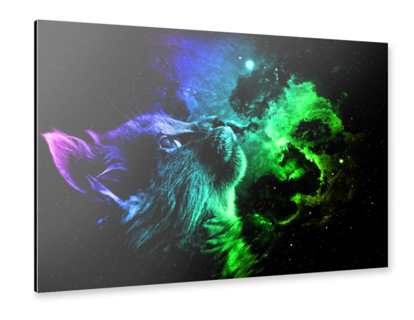 Alu-Dibond "Cat Galaxy" 30x20 cm artboxONE