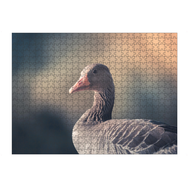 Puzzle Ravensburger "Gray goose" artboxONE - Natur,Tiere - Gans,Graugans,Vogel,Wasservogel,Wildlife,Tier,Animal,Natur,Nature,Portrait - Bild gans