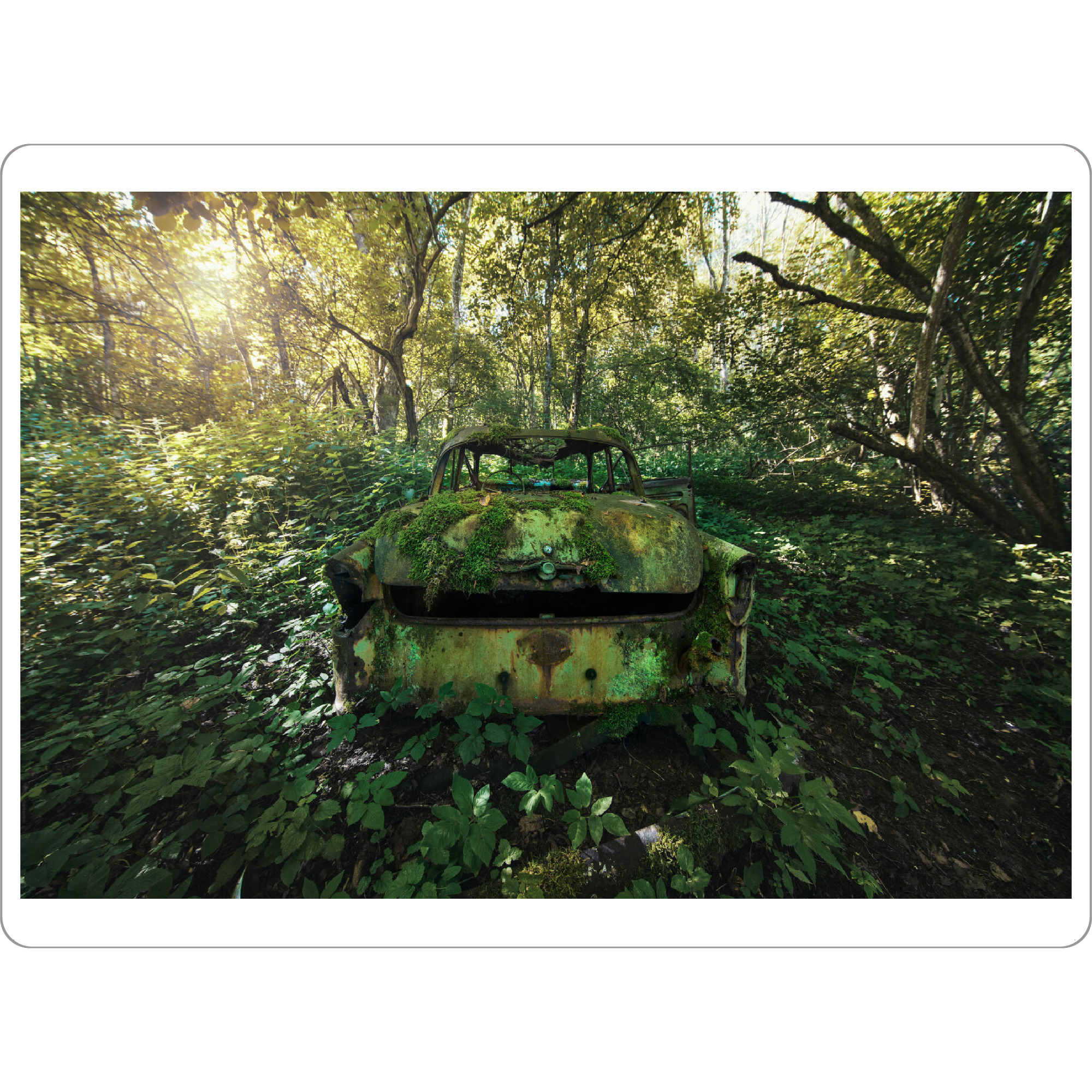 Tischset "Parking in the Forest" artboxONE - Natur,Automobile