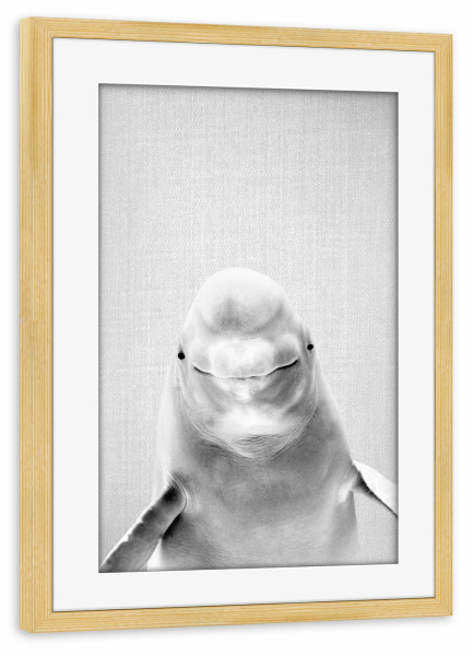 Poster mit Rahmen kiefer "Beluga Whale - Black & White" artboxONE - Für Kinder,Tiere,Reise / Strand und Meer,Unterwasser,Lustig