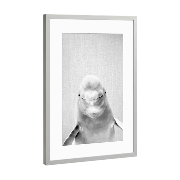 Poster mit Rahmen Silber "Beluga Whale - Black & White" artboxONE - Für Kinder,Tiere,Reise / Strand und Meer,Unterwasser,Lustig