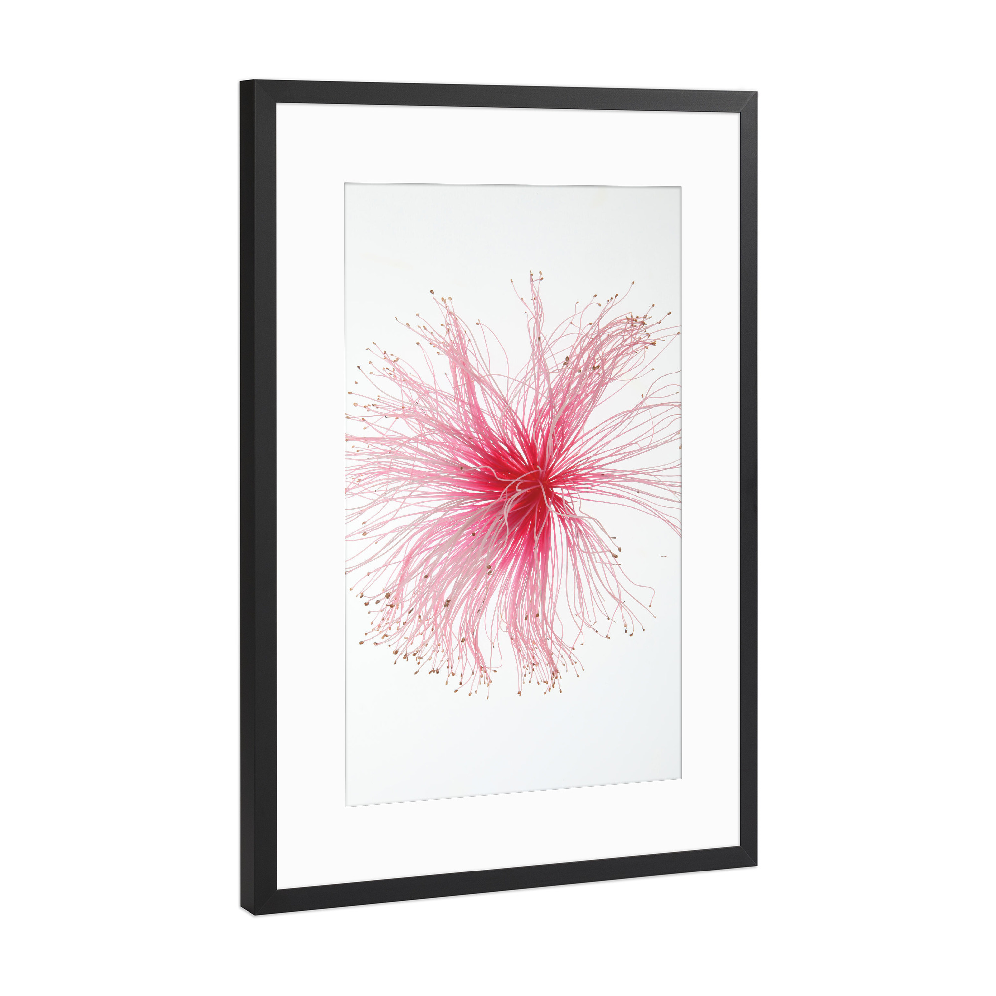 Poster mit Rahmen Schwarz (Metallic) "Botanical Paint Brush I" artboxONE - Natur,Floral