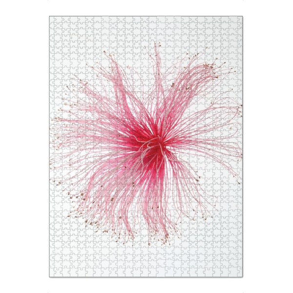 Puzzle Ravensburger "Botanical Paint Brush I" artboxONE - Natur,Floral