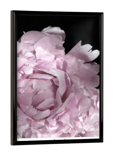 Poster mit schwarzem Rahmen "Enjoy the little things peony" artboxONE - Typografie,Floral