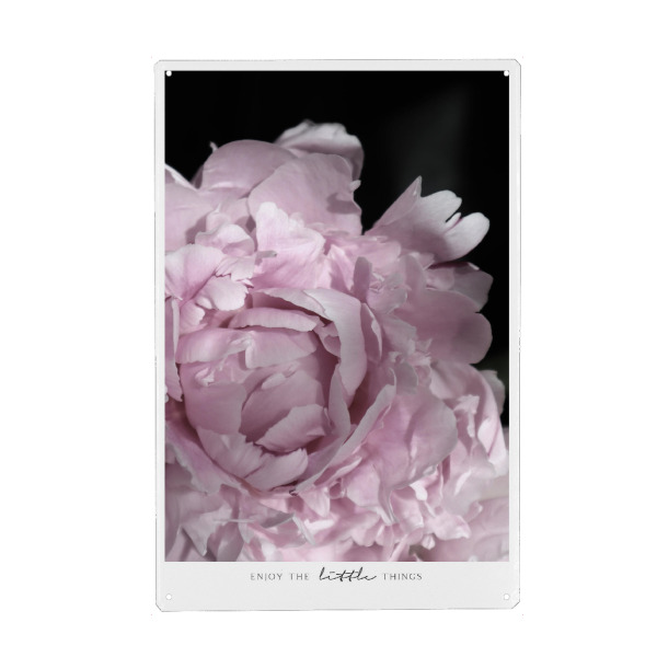 Metall Poster "Enjoy the little things peony" artboxONE - Typografie,Floral