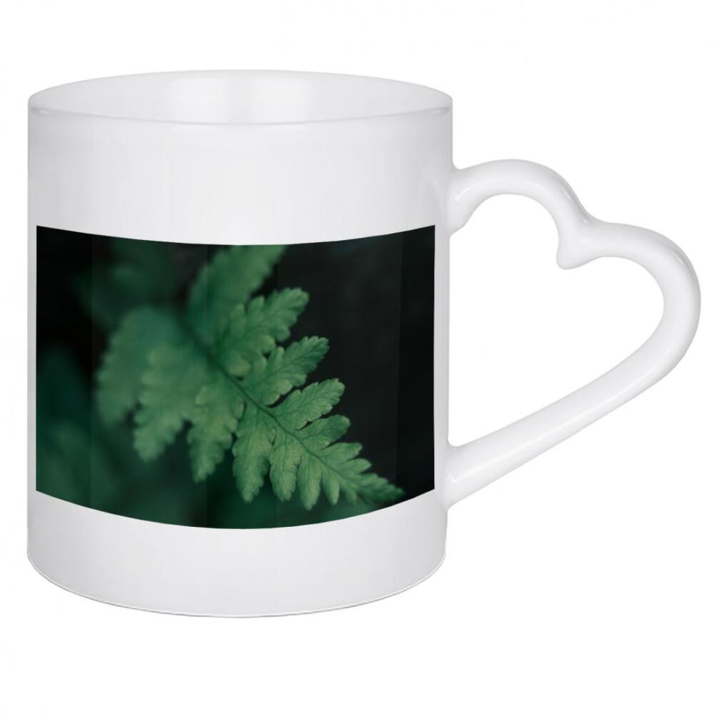 Herztasse "Kleiner Farn" artboxONE - Natur,Floral - Farnwedel,Farnblätter,Farne,Waldboden,Wald,Sommer,Naturfotografie,Makrofotografie,Makro