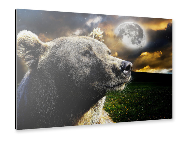 Alu-Dibond "Space Bear Portrait (matart)" 30x20 cm artboxONE