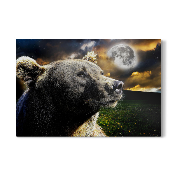Galerie-Print "Space Bear Portrait (matart)" 30x20 cm artboxONE
