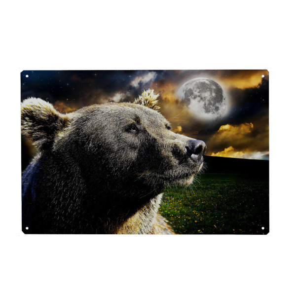 Holzbild "Space Bear Portrait (matart)" artboxONE - Natur,Tiere,Galaxy