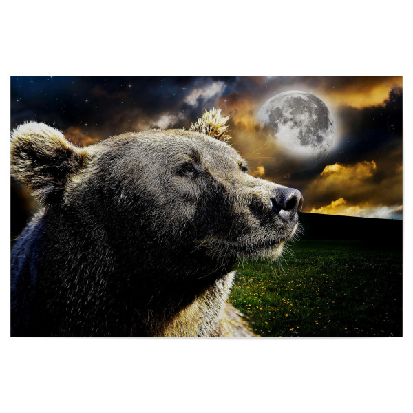 Poster "Space Bear Portrait (matart)" artboxONE - Natur,Tiere,Galaxy