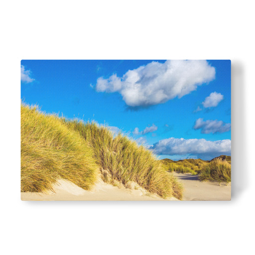 Dünen auf Amrum