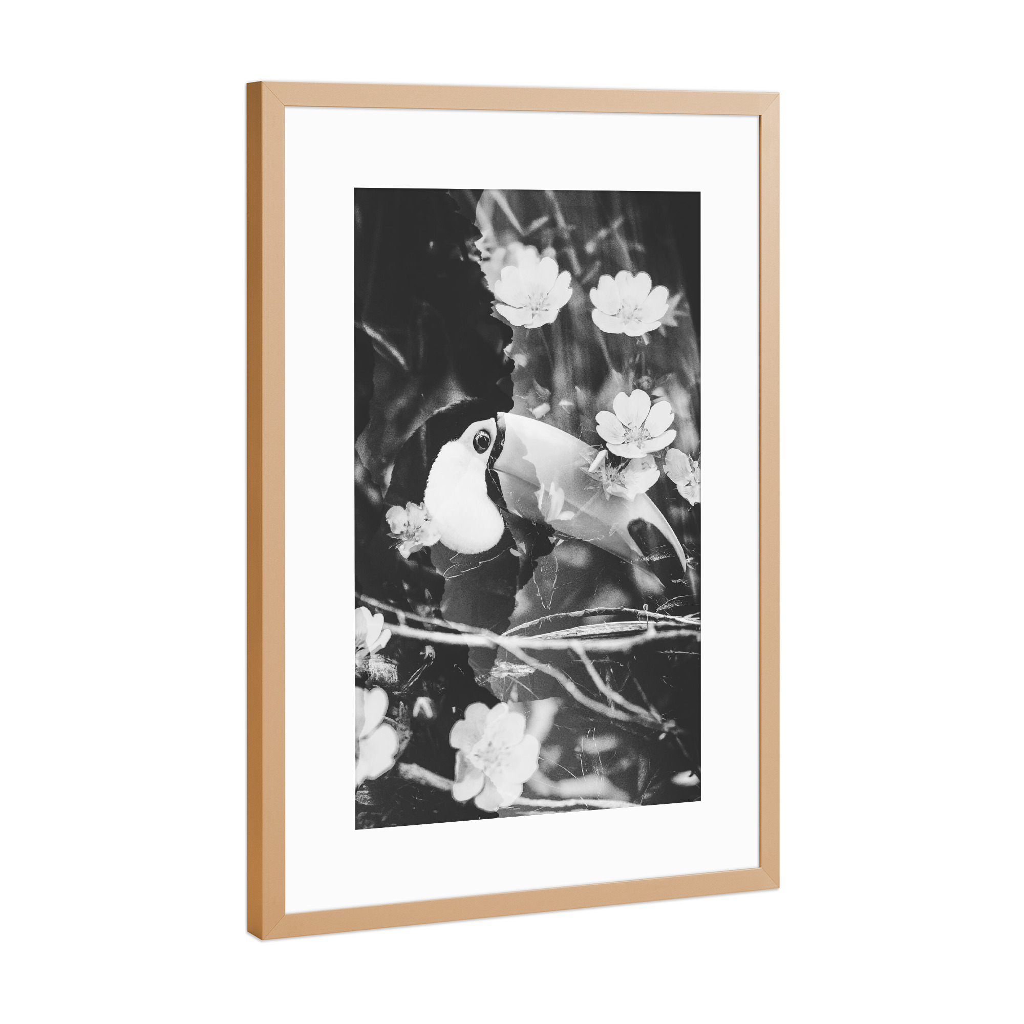 Poster mit Rahmen Kupfer "Floral toucan" artboxONE - Natur,Floral,Tiere