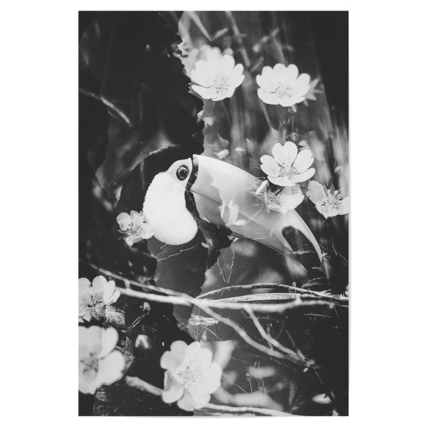 Poster 30x20 cm "Floral toucan" artboxONE - Natur,Floral,Tiere