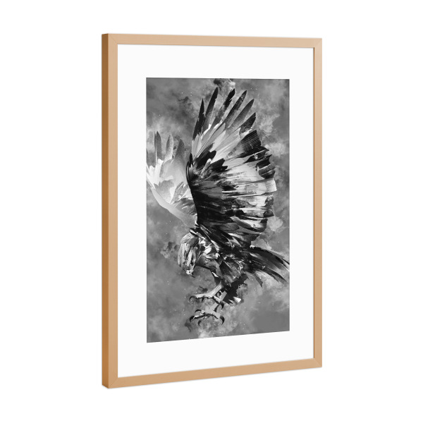 Poster mit Rahmen Kupfer "Eagle BW (matart)" artboxONE - Natur,Tiere - Eagle,Eagles,Bird,Animal,Animals,Vogel,Tier,Wild,Natur,Nature